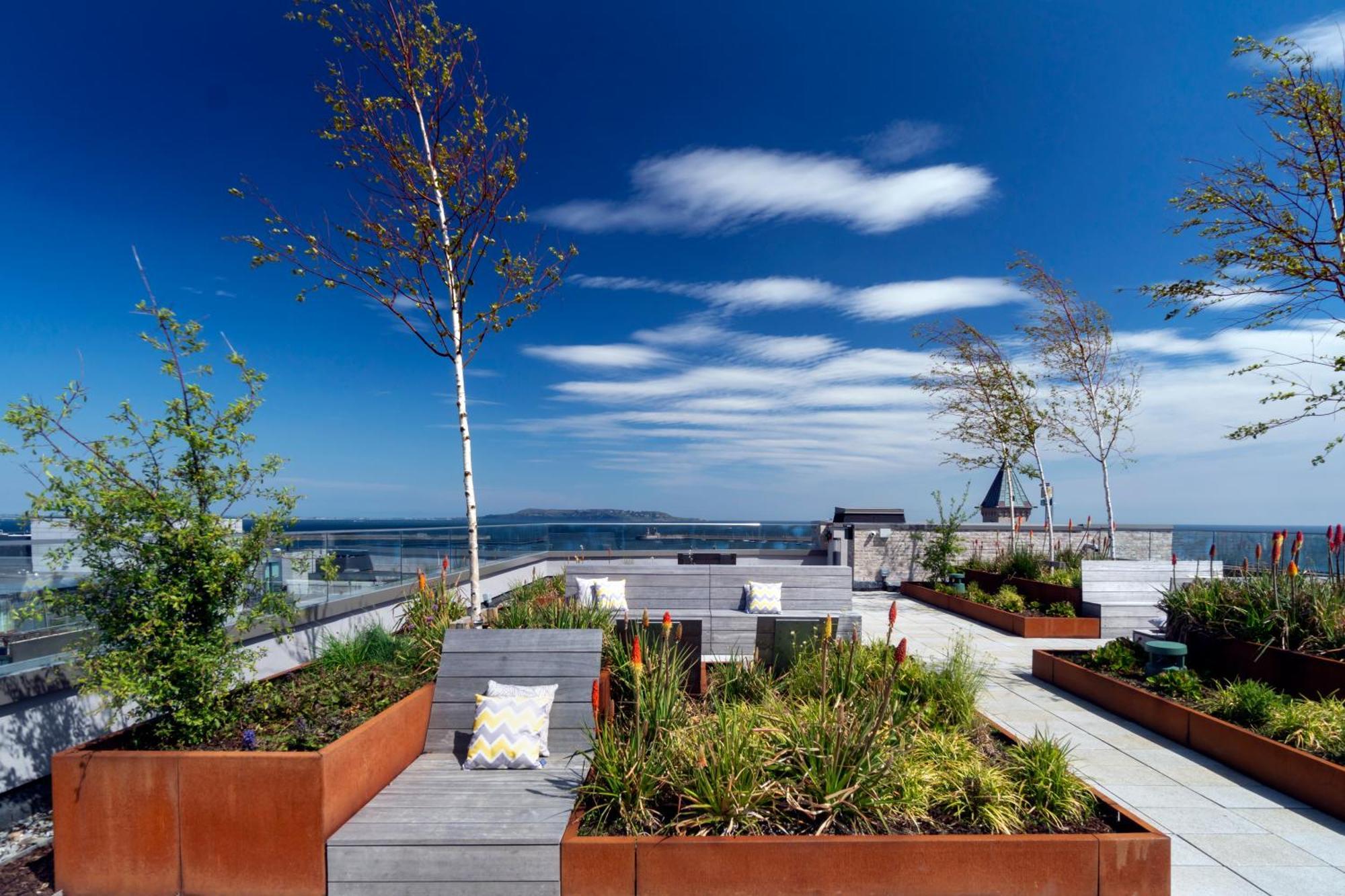 Niche Living - Dun Laoghaire Dublin Ngoại thất bức ảnh